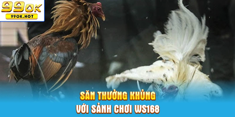 Săn thưởng khủng với sảnh chơi WS168