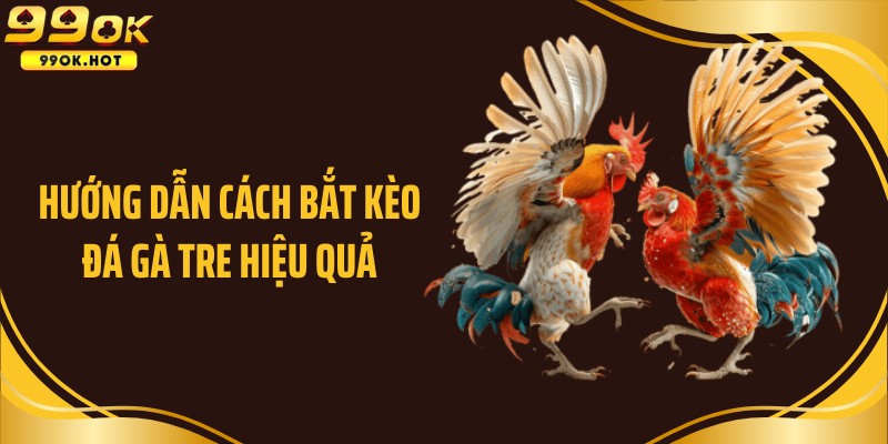 Hướng dẫn cách bắt kèo đá gà tre hiệu quả
